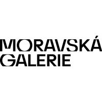 Dobrovolník na vernisáži nové výstavy Moravské galerie v Brně