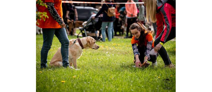 Pomocník na psí akci Tlapkiáda Festival 2023